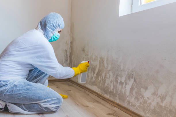 Licensed Commercial Mold Remediation service in East Freedom, PA - WQB Mold Removal